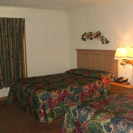 Village Inn Motel - Berrien Springs 外观 照片